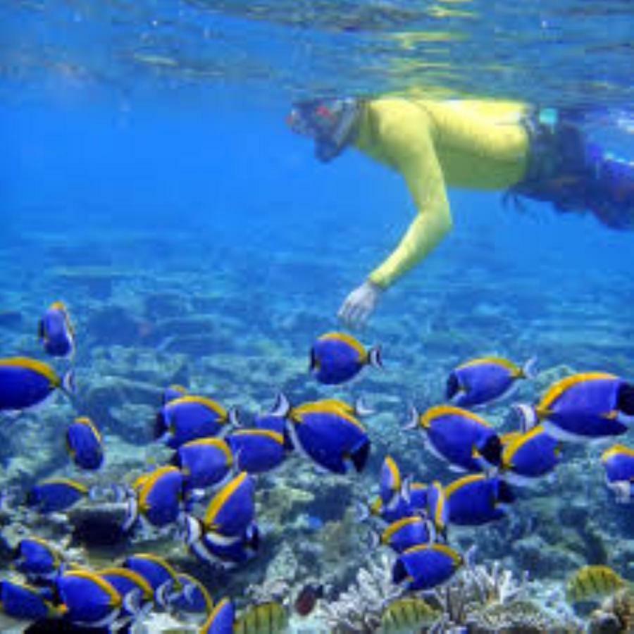 Santa Rosa Maldives Hotel Thulusdhoo Eksteriør billede